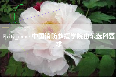 莆田中国消防救援学院山东选科要求