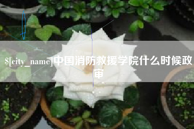 莆田中国消防救援学院什么时候政审