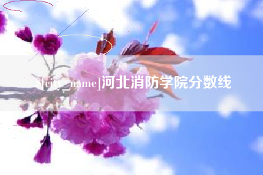 莆田河北消防学院分数线