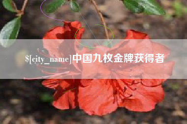 莆田中国九枚金牌获得者