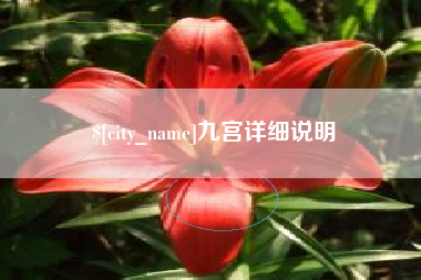 莆田九宫详细说明