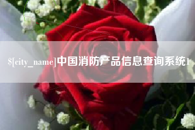 莆田中国消防产品信息查询系统1