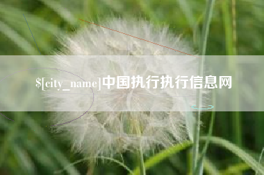莆田中国执行执行信息网