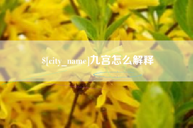 莆田九宫怎么解释