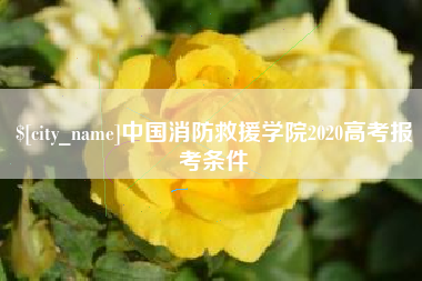 莆田中国消防救援学院2020高考报考条件