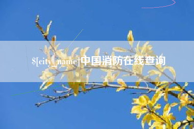 莆田中国消防在线查询