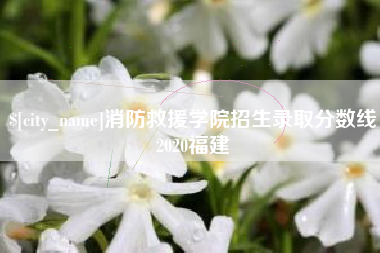 莆田消防救援学院招生录取分数线2020福建