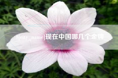 莆田现在中国哪几个金牌