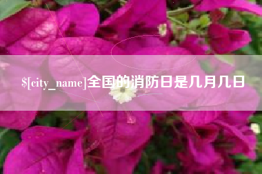 莆田全国的消防日是几月几日