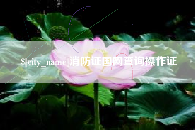 莆田消防证国网查询操作证