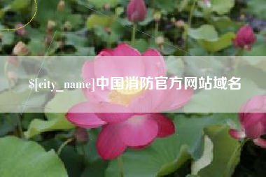 莆田中国消防官方网站域名