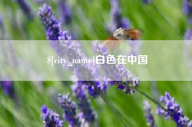 莆田白色在中国