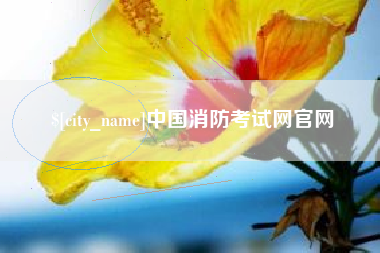 莆田中国消防考试网官网