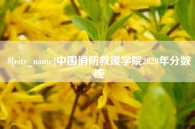 莆田中国消防救援学院2020年分数线