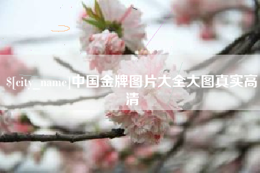 莆田中国金牌图片大全大图真实高清