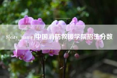 莆田中国消防救援学院招生分数