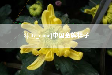 莆田中国金牌样子