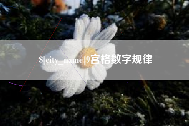莆田9宫格数字规律