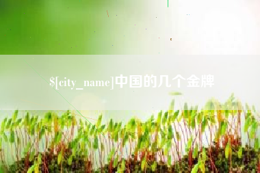 莆田中国的几个金牌