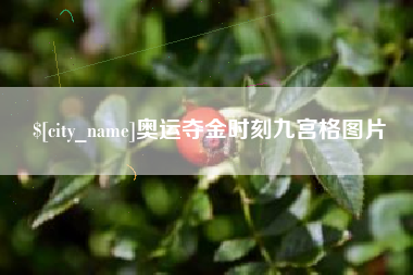 莆田奥运夺金时刻九宫格图片