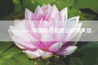 莆田中国执行信息公开网失信