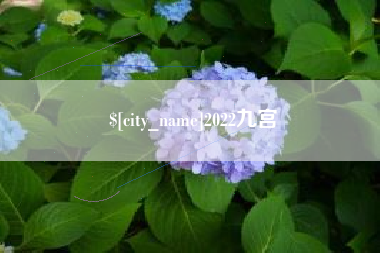 莆田2022九宫