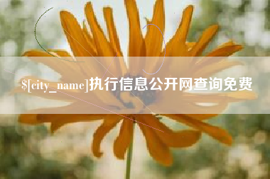 莆田执行信息公开网查询免费