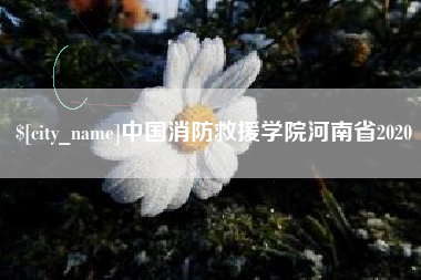 莆田中国消防救援学院河南省2020